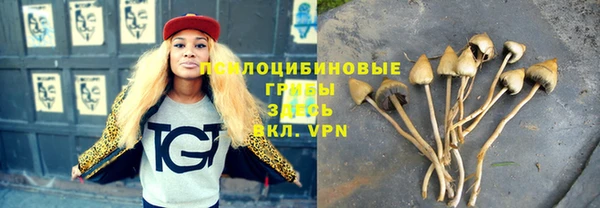 2c-b Верея